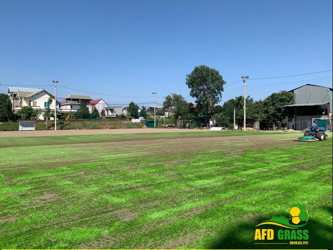 Hoàn thiện sân bóng cỏ nhân tạo Phú Nghĩa