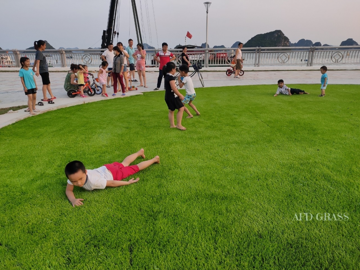Sân cỏ nhân tạo vui chơi tại Quảng Trường TP. Hạ Long