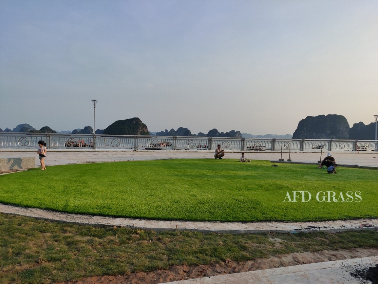 Sân cỏ nhân tạo vui chơi tại Quảng Trường TP. Hạ Long