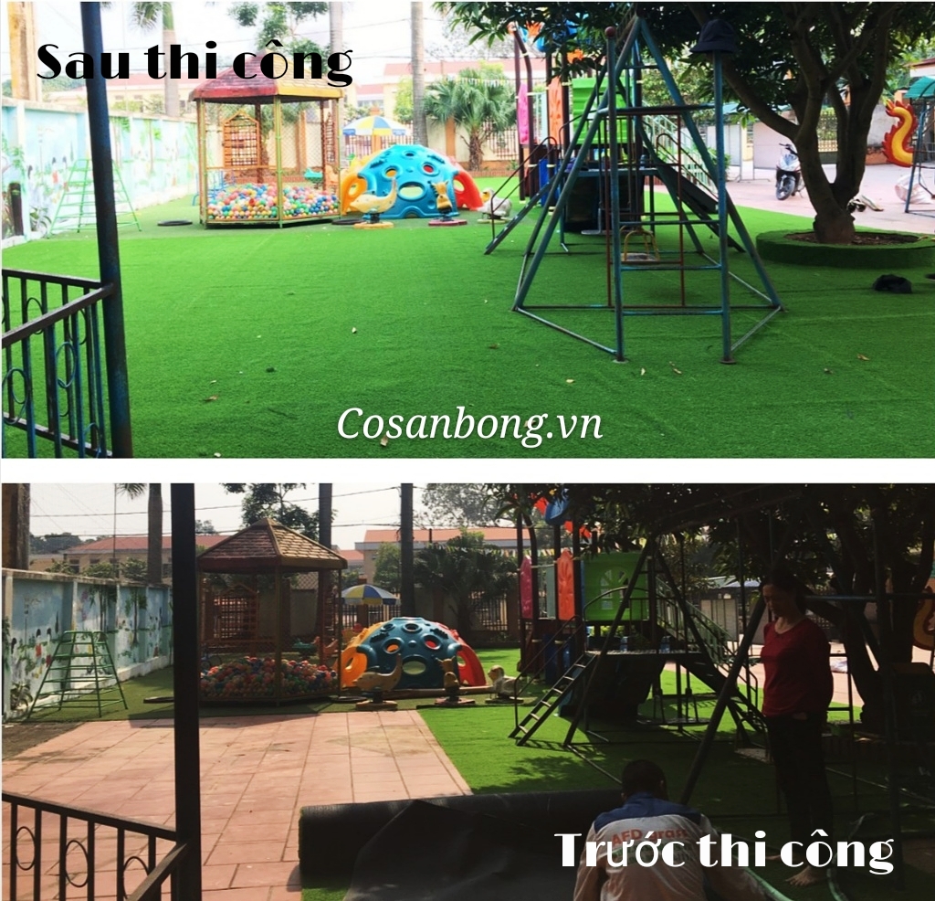 Hoàn thiện cỏ sân vườn trường mầm non Phú Lưu Tế
