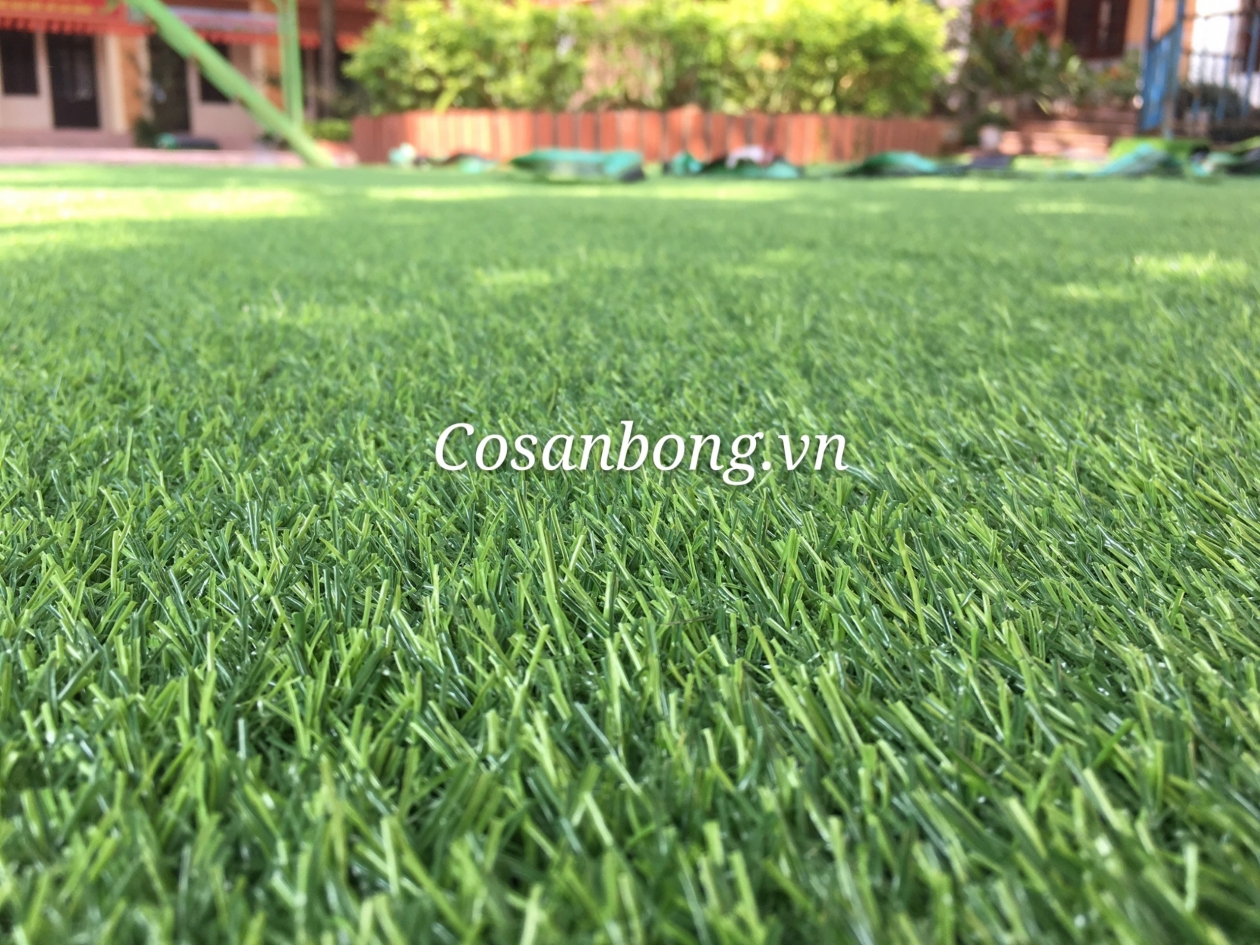 Hoàn thiện cỏ sân vườn trường mầm non Phú Lưu Tế