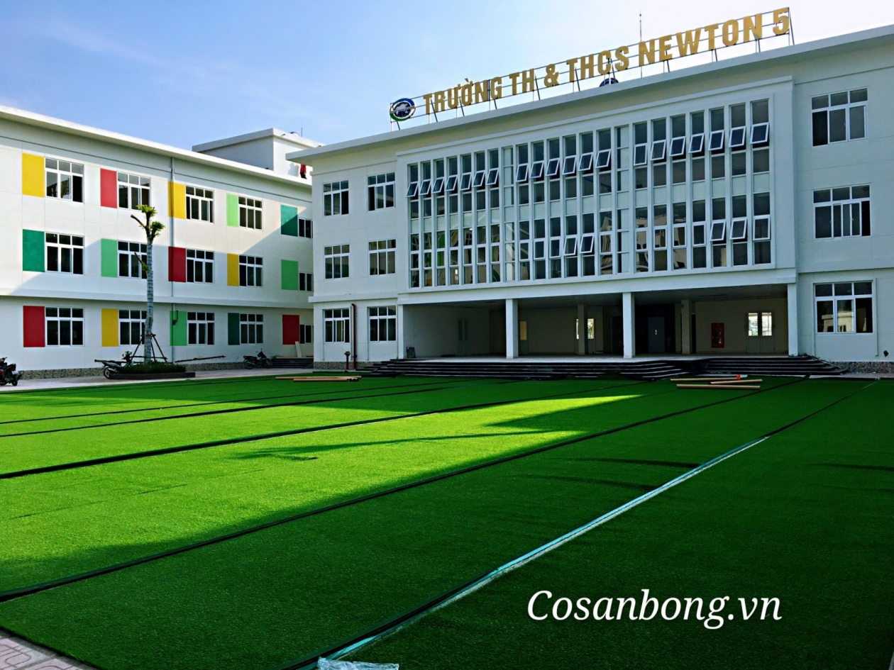 Thi công cỏ nhân tạo trường TH& THCS Newton 5