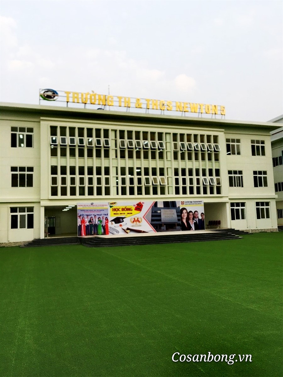 Thi công cỏ nhân tạo trường TH& THCS Newton 5