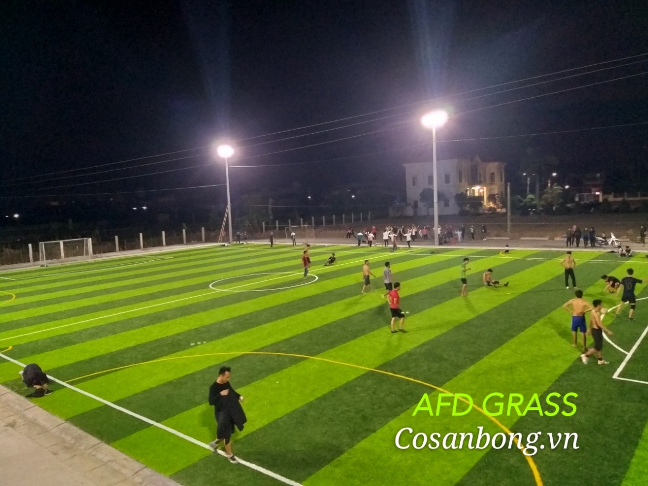 Sân bóng cỏ nhân tạo tại Giáo Xứ Thanh Châu - Thái Bình