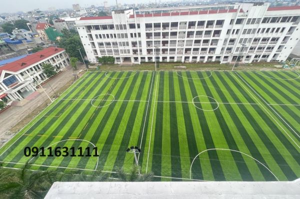 Cụm 3 Sân Bóng Trường Đại Học Lương Thế Vinh TP Nam Định