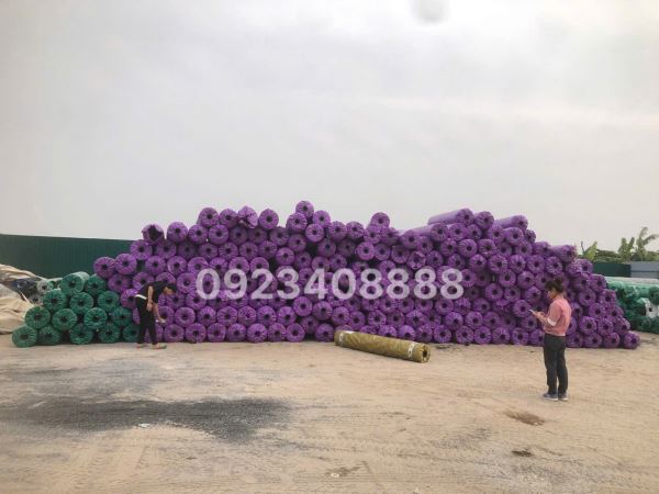 co-4cm-gia-re-nhat-thi-truong