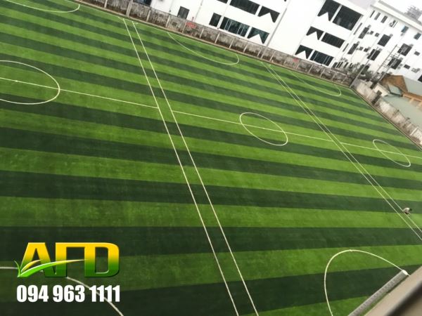 Sân Bóng Sara TP Vinh Nghệ An - Địa Chỉ, Bảng Giá, Giờ Hoạt Động Và Kinh Nghiệm Đặt Sân
