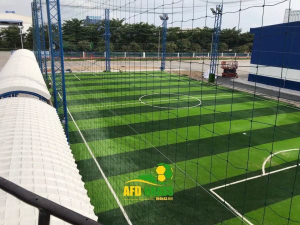 Hoàn thiện sân bóng nhà máy Bia Heineken tại Vũng Tàu